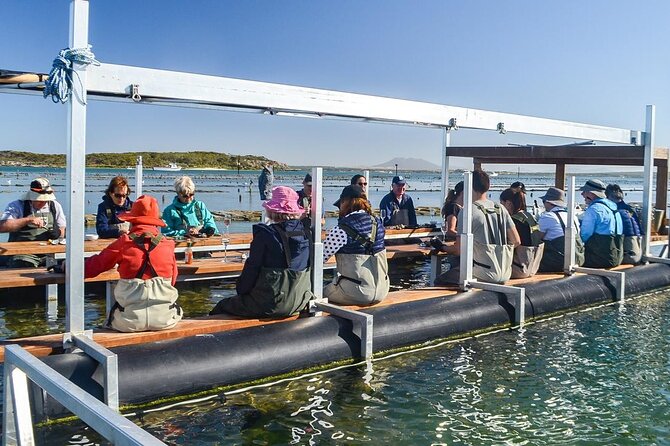 Oyster Farm Tour with Hotel Pick-up and return from Port Lincoln - Key points before you go