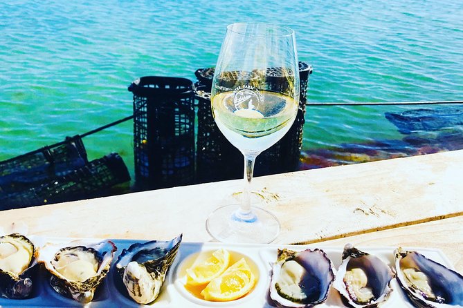 Oyster Farm Tour with Hotel Pick-up and return from Port Lincoln - Wading out to the pontoon: how you see the farm in real life
