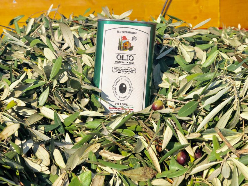 Paciano: Organic Cooking Class at a Farm with Lunch & Wine - Price and logistics: is $124.61 good value?