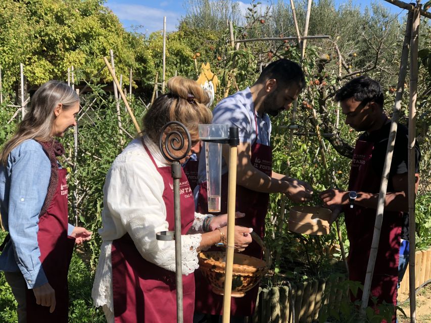 Paciano: Organic Cooking Class at a Farm with Lunch & Wine - Who should book this Paciano cooking class in Tuscany?