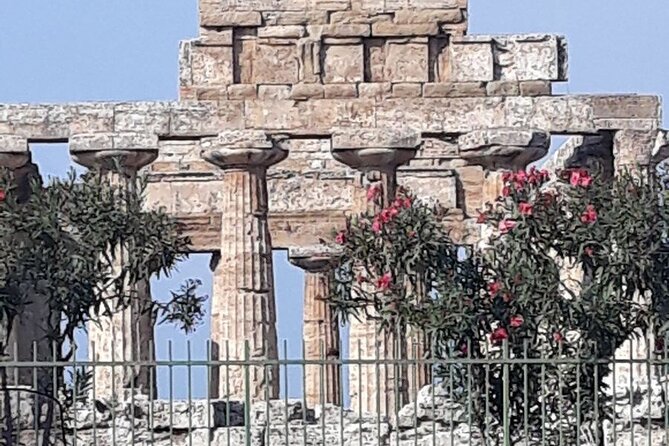 Paestum and Buffalo Farm Day Tour from Sorrento - The Sorrento Drive: Private Transport and a Smoother Day