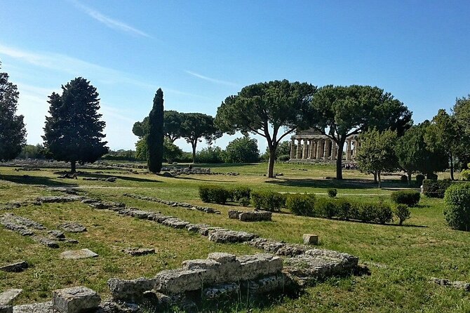 Paestum and Buffalo Farm Day Tour from Sorrento - Barlotti Buffalo Farm: Mozzarella Tasting and Real Buffalo Photos