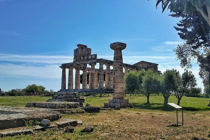 Paestum and Buffalo Farm Day Tour from Sorrento - Paestum and Velia: Greek Temples for About Two Hours