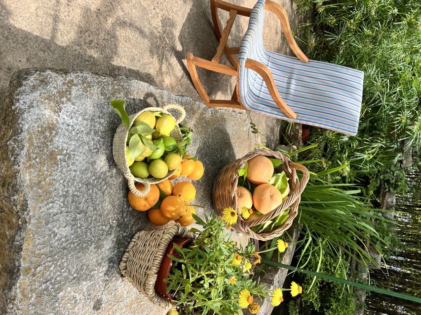 Palma: Orange Farm, Olive Mill, & Winery Tour with Tastings - Palma to the Tramuntana Mountains: a day with built-in flavor stops