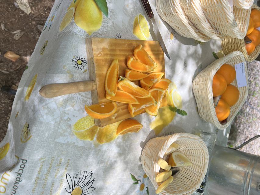 Palma: Orange Farm, Olive Mill, & Winery Tour with Tastings - Picnic lunch and snacks: where the day actually feels worth $221