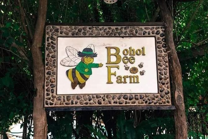 Panglao's Best Hinagdanan Cave, Bee Farm, Mirror of the World - Getting around: pickup, private flow, and time budgeting
