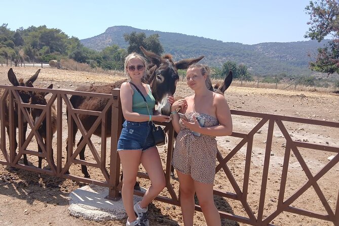 Paphos: Akamas Gorge & Turtle Bay & Donkey Farm Jeep Safari Tour - Key highlights if you want the good stuff fast