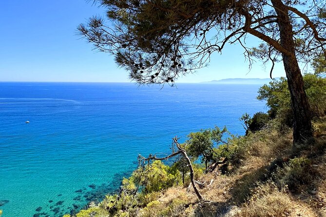 Paphos: Akamas Gorge & Turtle Bay & Donkey Farm Jeep Safari Tour - Latchi Harbour for lunch: scenic seafood, extra cost, and a chance to breathe