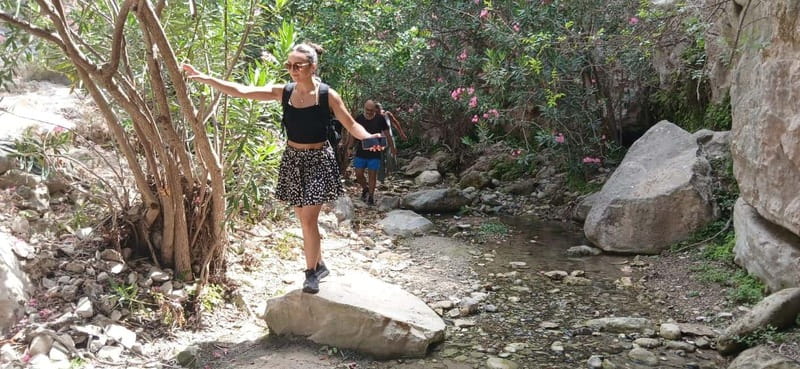 Paphos: Avakas Gorge & Turtle Bay Jeep Tour with Donkey Farm - Avakas Gorge Hike: The Walk That Makes the Day Worth It