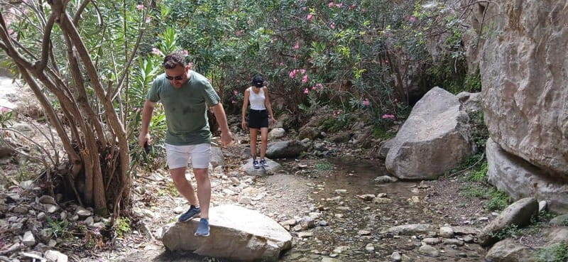 Paphos: Avakas Gorge & Turtle Bay Jeep Tour with Donkey Farm - Akamas Peninsula National Park: A Guided Stretch of Coast and Wildlife Potential