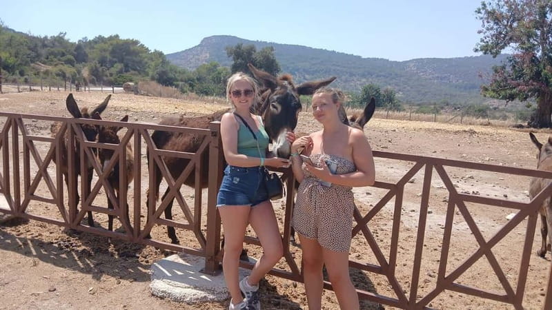Paphos: Avakas Gorge & Turtle Bay Jeep Tour with Donkey Farm - Baths of Aphrodite: Myth, Photos, and a Short Reality Check