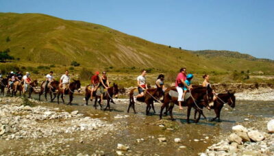 Paphos/Limassol: Donkey Farm Day Trip with Lunch & Tastings - Argonaftis Donkey Farm near Kelokedara: rural life you can touch