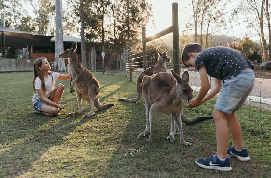 Paradise Country: Ultimate Aussie Farm Experience - Key takeaways before you go