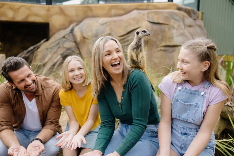 Paradise Country: Ultimate Aussie Farm Experience - Baby Animal Nursery, Meerkats, and the Part Kids Remember