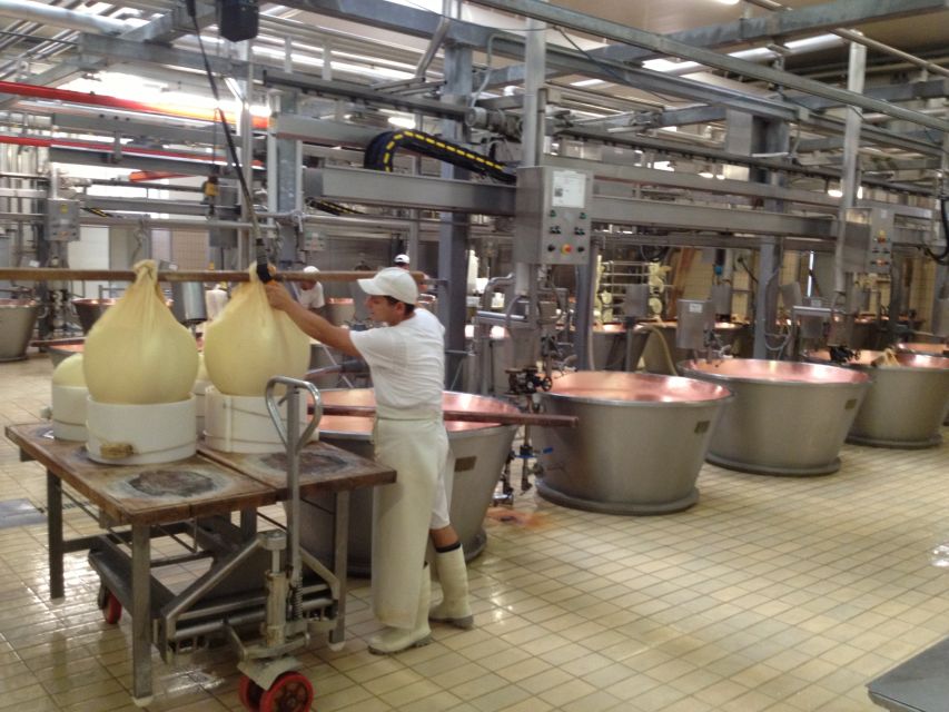 Parma: Parmigiano Reggiano Farm Tour & Tasting with Transfer - Why Parmigiano-Reggiano Has Its Own Rulebook