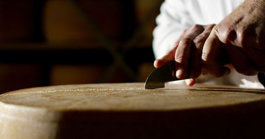 Parma: Parmigiano Reggiano Farm Tour & Tasting with Transfer - The Van Ride: Easy Start Into Cheese Country