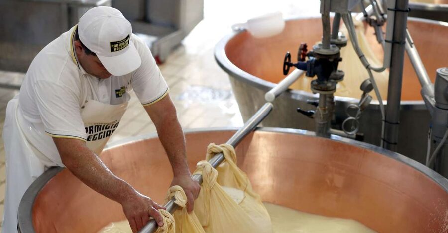 Parma: Parmigiano Reggiano Farm Tour & Tasting with Transfer - Inside the Cheese Factory: Milk Vats and Whey Separation