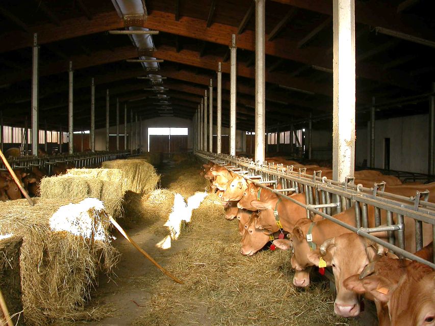 Parma: Parmigiano Reggiano Farm Tour & Tasting with Transfer - Price and Value for a 3.5-Hour Parma Stop