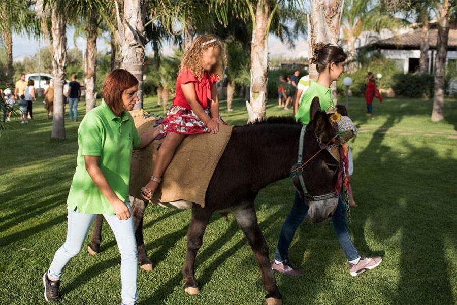 Partinico: Farm's Animals and Aromatic Garden Experience - Olive, citrus, and vineyard paths—plus a walk with donkey Augusta