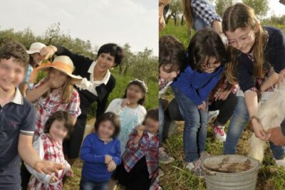 Partinico: Farm's Animals and Aromatic Garden Experience - The aromas garden: your hands, your nose, your take-home bouquet