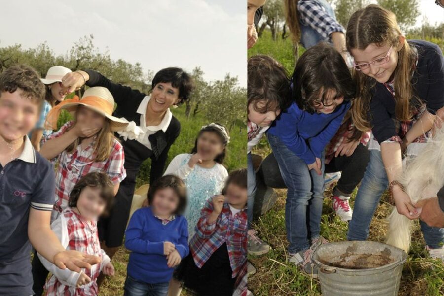 Partinico: Farm's Animals and Aromatic Garden Experience - The aromas garden: your hands, your nose, your take-home bouquet