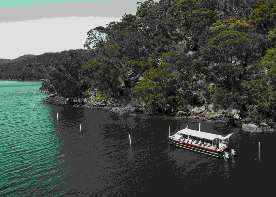 Pearl & Oyster Farm Hawkesbury River Cruise - Setting out from Mooney Mooney with the Hawkesbury in front of you