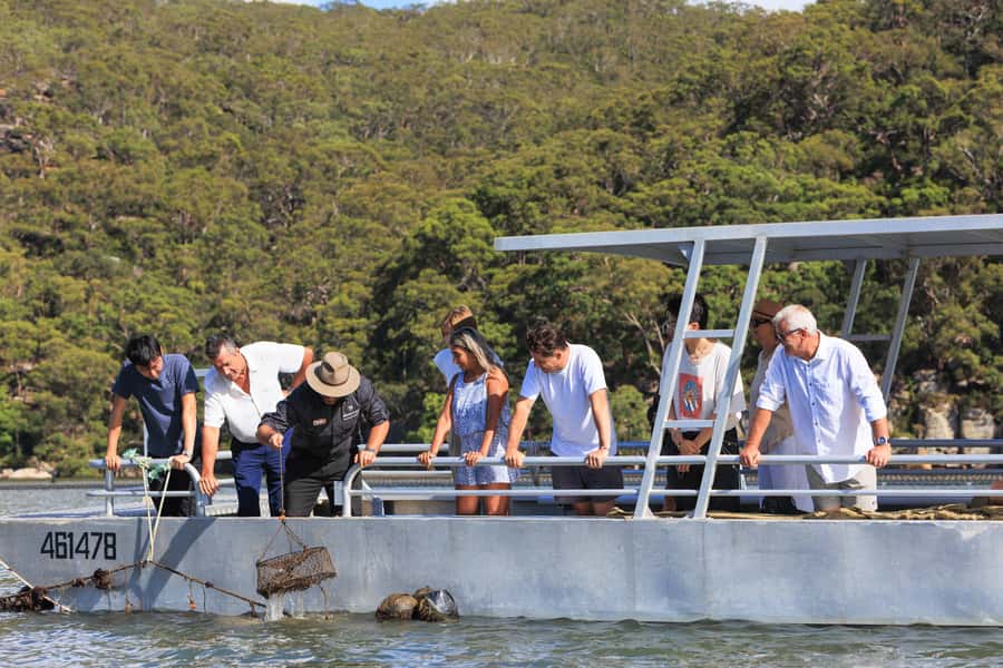 Pearl & Oyster Farm Hawkesbury River Cruise - The Broken Bay Pearl Farm tour: seeing saltwater paddocks up close