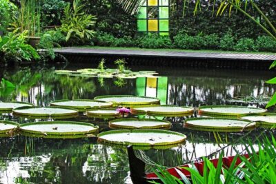 Penang Round Island Tour With Tropical Spice Garden & Entopia Butterfly Farm - Batik Factory Stops: Quick Taste of Penang Craft in Teluk Bahang