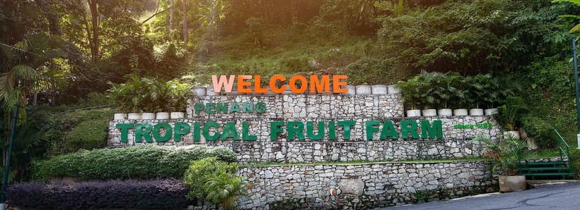 Penang: Tropical Fruit Farm Ticket - Penang Tropical Fruit Farm: 25 Acres at Teluk Bahang’s 800-Foot Height