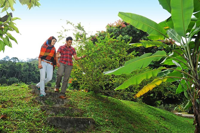 Penang Tropical Fruit Farm with Fruit Tasting - Coconut oil, enzyme process, and natural soap making