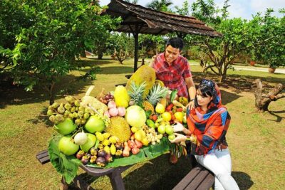 Penang Tropical Fruit Farm with Fruit Tasting - The fruit farm walk: where the tour actually earns its keep