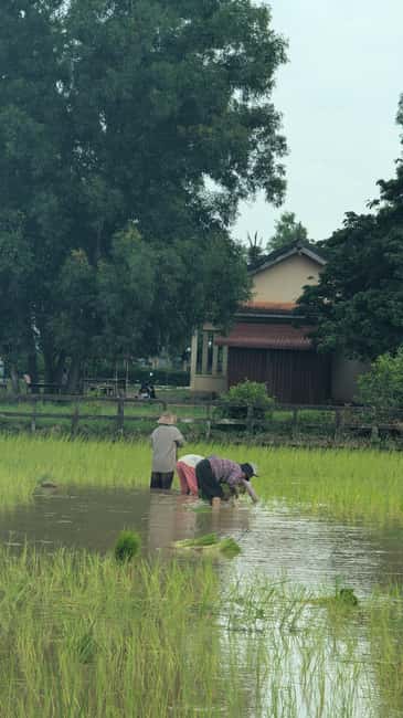 Pepper farm guided tour, Kep/Crab Market, salt & secret lake - How to plan your day so you feel comfortable and flexible