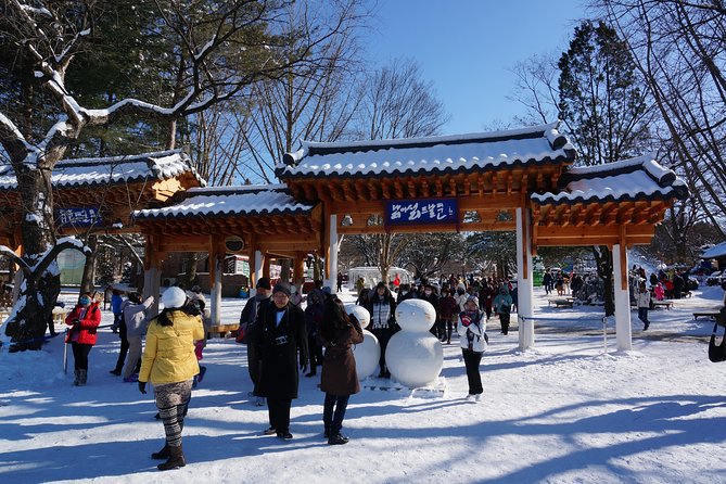 [Perfect Private Tour] Nami island, Petite France and Organic Strawberry Farm - A private day trip from Seoul that respects your time