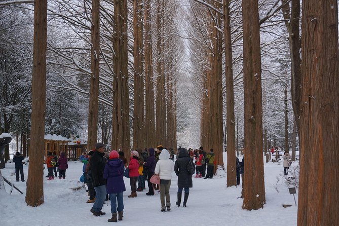 [Perfect Private Tour] Nami island, Petite France and Organic Strawberry Farm - How guides shape the day: from Mr Kim to Benny