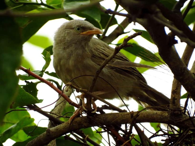 Phong Nha - Paradise Cave & Dark Cave - Duck Farm - Botanical Garden stop: a shaded break before the caves