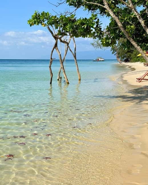 Phu Quoc: Kayaking with Starfish Beach and Bee Farm Tour - Price and Value at About $32: Where Your Money Goes