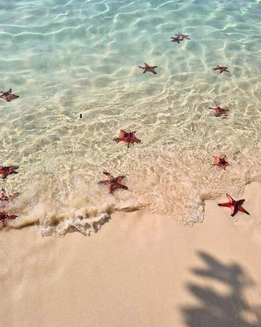 Phu Quoc: Kayaking with Starfish Beach and Bee Farm Tour - Bee Farm and Honey Tasting: What You’ll Learn and What You’ll Want to Buy