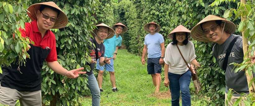 Phu Quoc : Pearl Farm, Pepper Farm, and Sao Beach Tour - Sao Beach Lunch and Sea Bathing: The Break You Actually Need