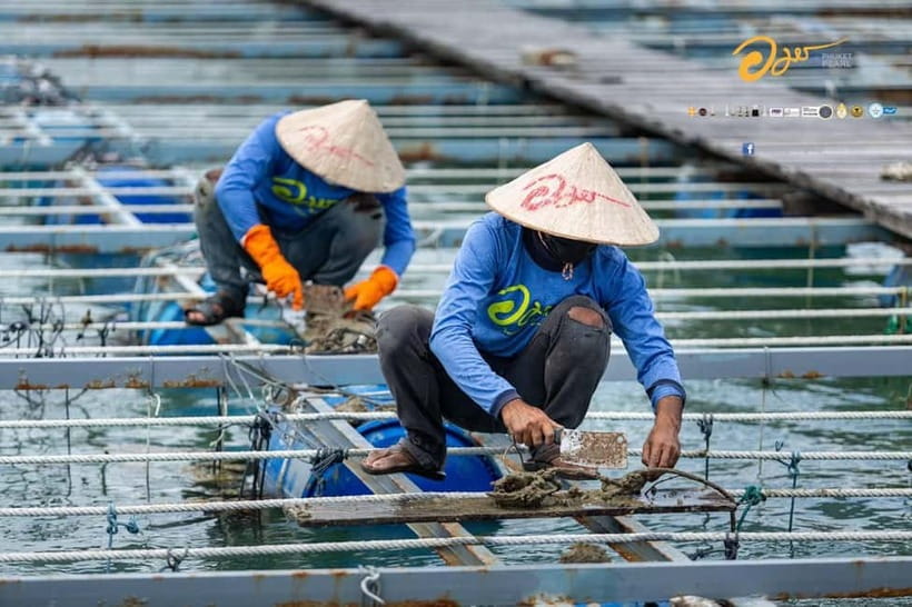Phuket: Highlights Tour with Pearl Farm & Elephant Village - Price and value: is $69 per person a fair deal?