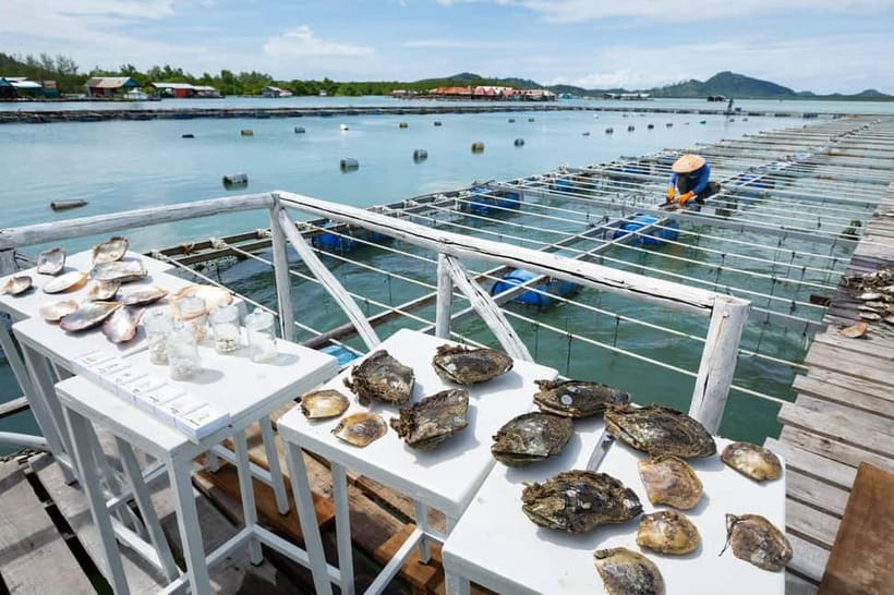Phuket: Highlights Tour with Pearl Farm & Elephant Village - Should you book Phuket: Highlights Tour with Pearl Farm & Elephant Village?