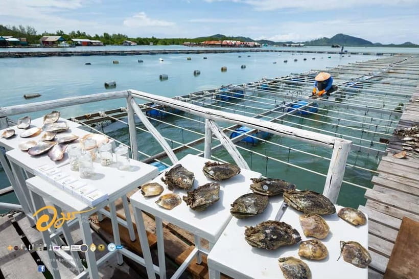 Phuket: Highlights Tour with Pearl Farm & Elephant Village - FAQ
