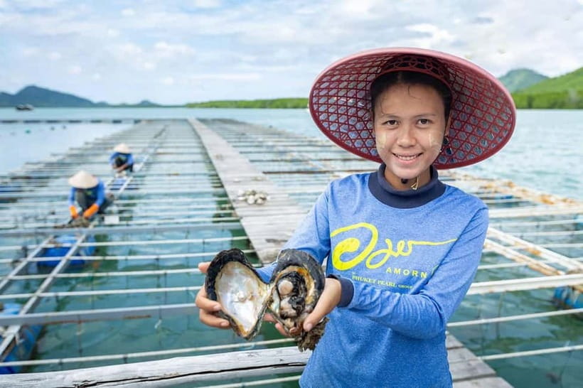 Phuket: Highlights Tour with Pearl Farm & Elephant Village - Driving through Phuket Old Town: what to look for