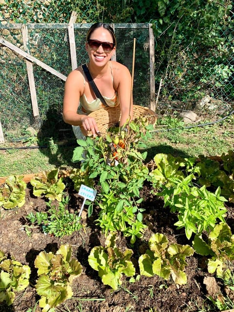 Pick Vegetables at the farm & Cook pasta - Walking the vineyards and harvesting herbs (and sometimes vegetables)