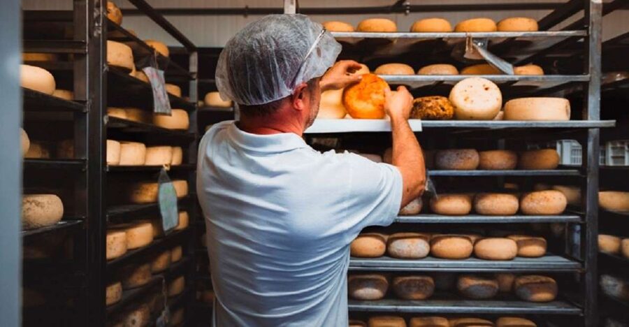 Pienza: Dairy Farm Tour with Pecorino Cheese Tasting - Pecorino from Pienza: what you’re really learning