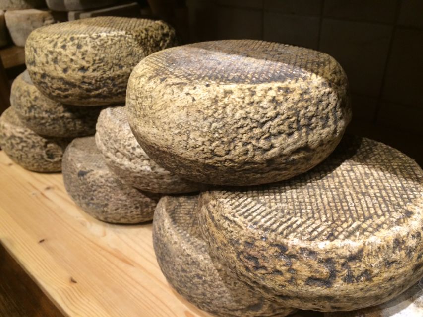Pienza: Dairy Farm Tour with Pecorino Cheese Tasting - Sheep, pasture, and the milk story you can actually picture