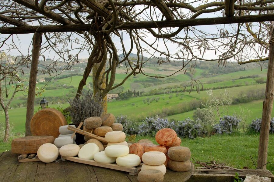 Pienza: Dairy Farm Tour with Pecorino Cheese Tasting - The pecorino tasting: fresh to seasoned, and how to compare
