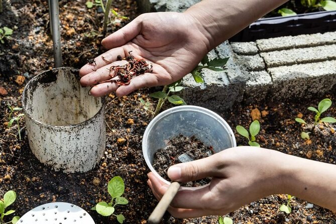 Pokhara: Organic Farm Tour and Cooking Class at Durku - Who should book the Durku farm cooking tour in Pokhara