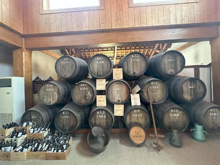 Porto: 3 Wine Regions & Farm Lunch with Views Small-Group - The Porto Departure: Pickup, Van Time, and Scenic Photo Stops