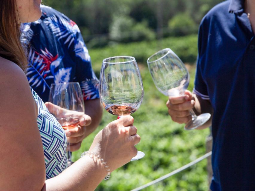 Porto: 3 Wine Regions & Farm Lunch with Views Small-Group - Two More Estates in Sabrosa: Port, DOC Wines, and Local Products