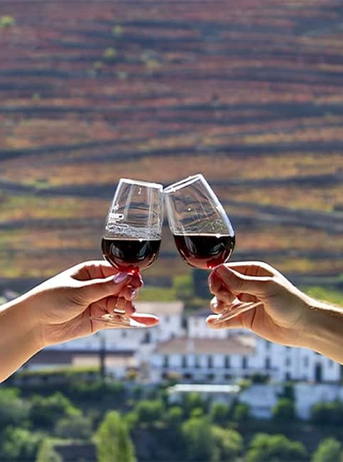 Porto: 3 Wine Regions & Farm Lunch with Views Small-Group - The Small-Group Advantage: Guide Time, Pace, and Better Questions